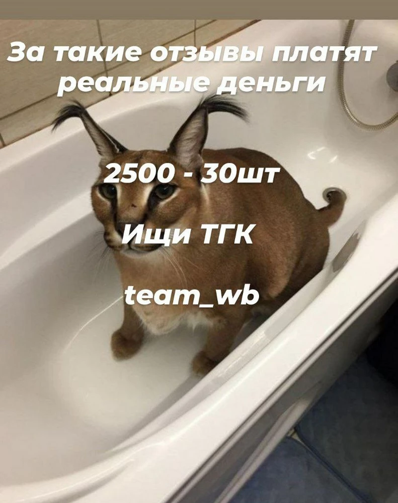 Сын в восторге!