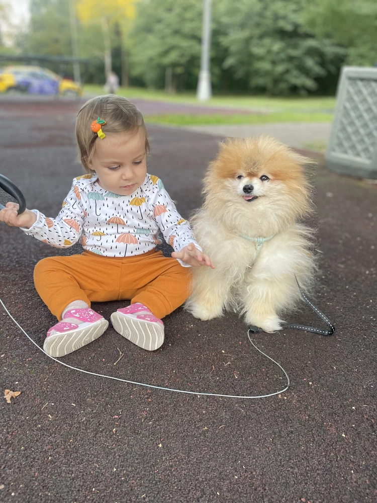 Отличное качество  и принт 👍