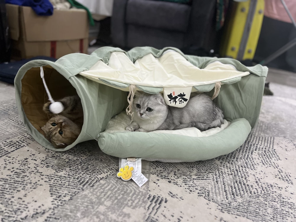 Нам Домик понравился , коты лежат и играют с ним