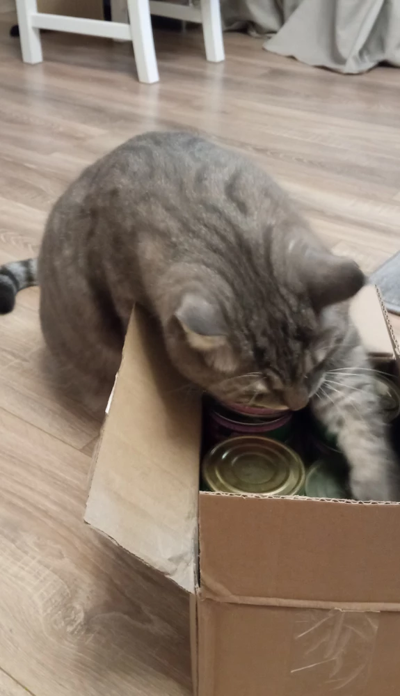 Мой кот достаточно привередливый в еде. Но корм ему очень нравится. Попробовал и пошёл просить ещё))