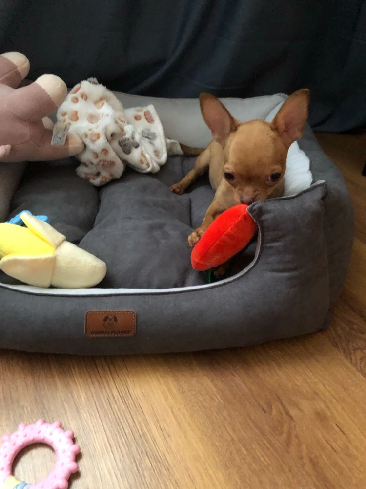 Игрушки прелесть, понравились сразу и были благополучно утащены к себе на место)