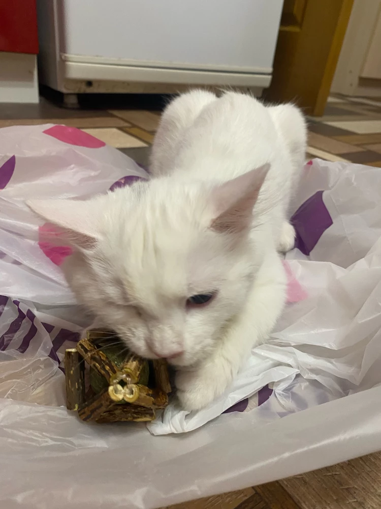 Это восхитительно 👍