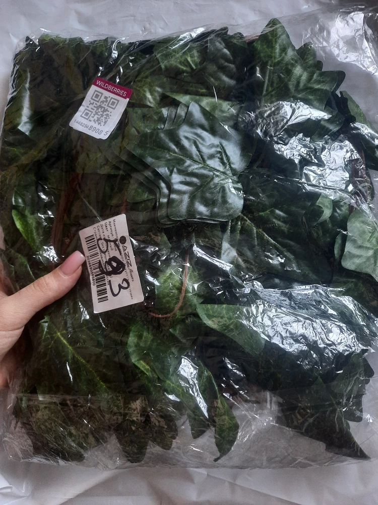 Вместо кисточек прислали лиану... Без понятия куда её деть, может на лоб прилепить?🤣🤣🤣 Звезду за быструю доставку непонятно чего
