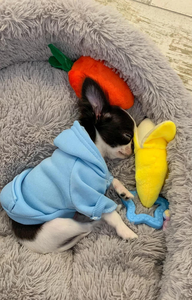 Малышу очень понравились, и мягкие игрушки таскает, и резиновые грызет 😍