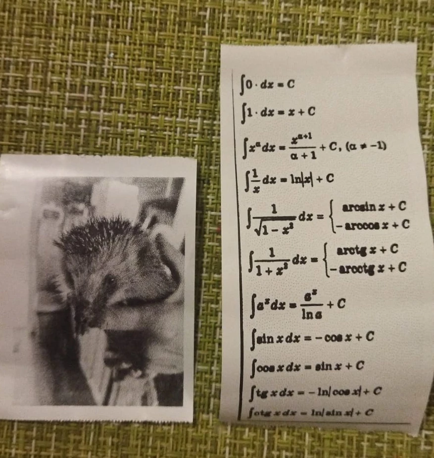 Такой желтенький я сначала купила своему ребенку 5 лет, для игры. А теперь взяла второй племяннику-студенту, в подарок (уже белый нейтральный) - на грядущей сессии поможет) шпоры сфоткает, распечатает сразу и готово. Не то что мы раньше все от руки переписывали. Я о таком могла только мечтать во времена института)