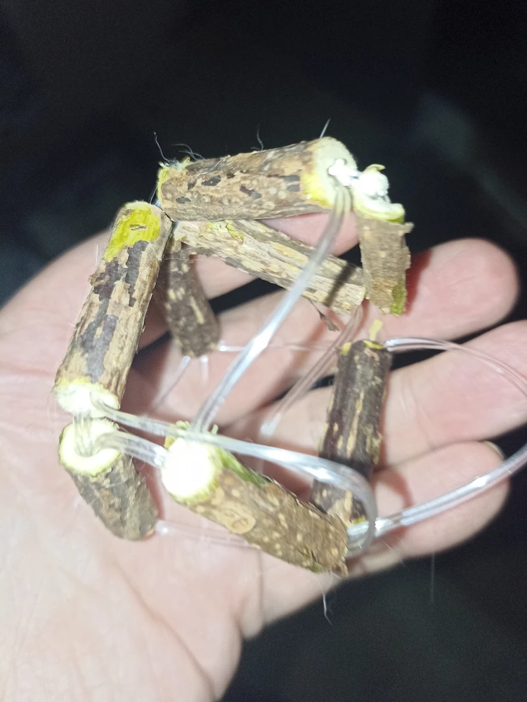 Даже не знаю, что сказать... С одной стороны - годовалая кошечка заценила. Играла, грызла... (Взрослая 7 лет, понюхала отошла). С другой - хватило этих игр мелкой на 2 минуты ровно. Палки были разгызаны в первую минуту почти все, пол в коре и палках. Палочки явно чем-то пропитаны или сами по себе специфически пахнут. Так как сам шарик, что внутри был не зашел, так погоняли немного и все. За 2 мин игры, как-то дороговато.