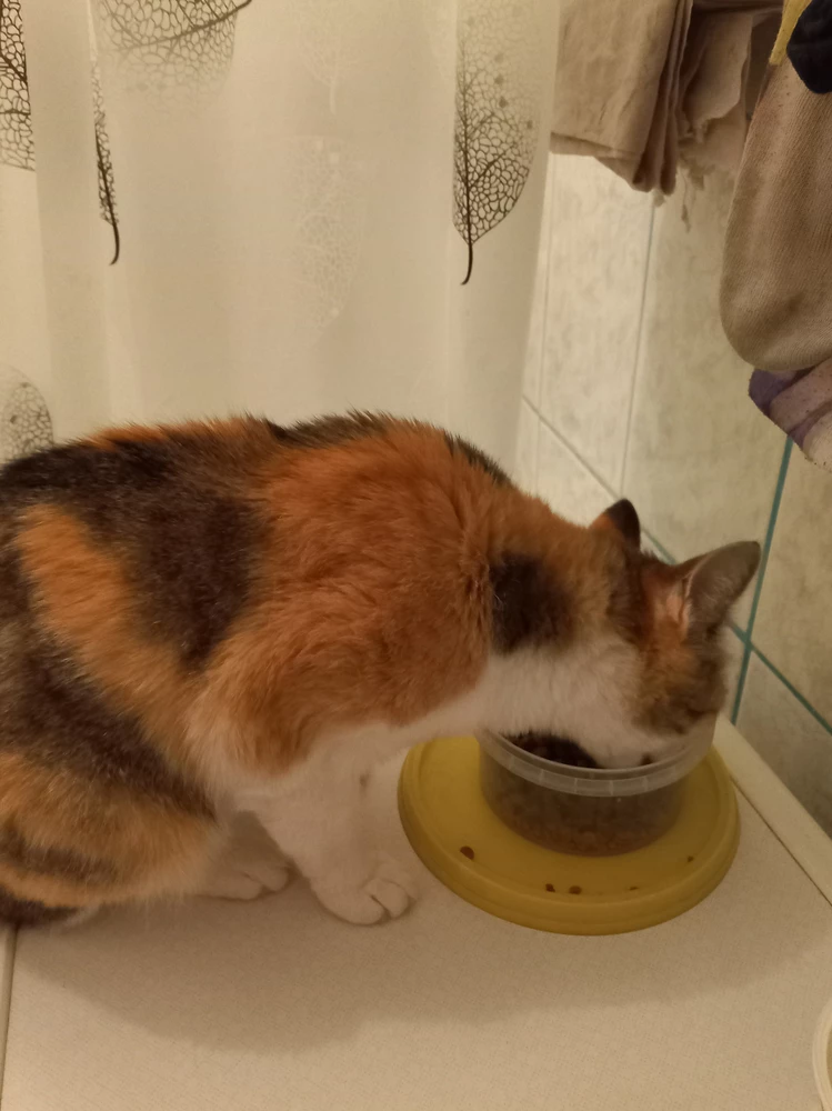 Моей кошке корм похоже очень понравился, она сразу начала его есть с большой скоростью. Спасибо производителю.