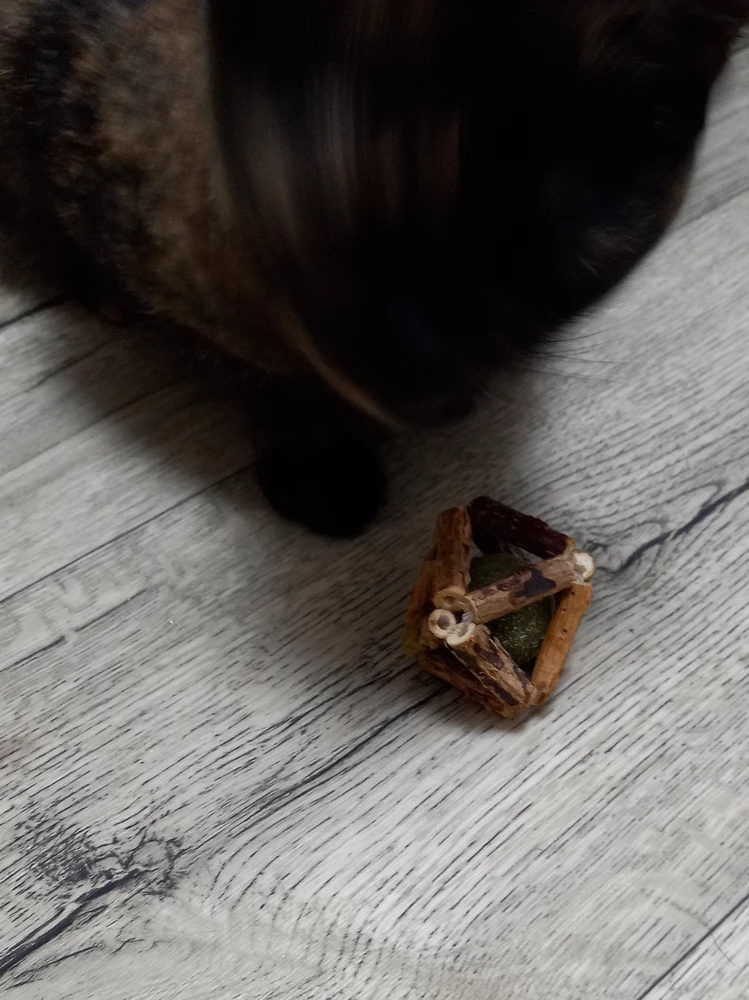 Зоське понравилось