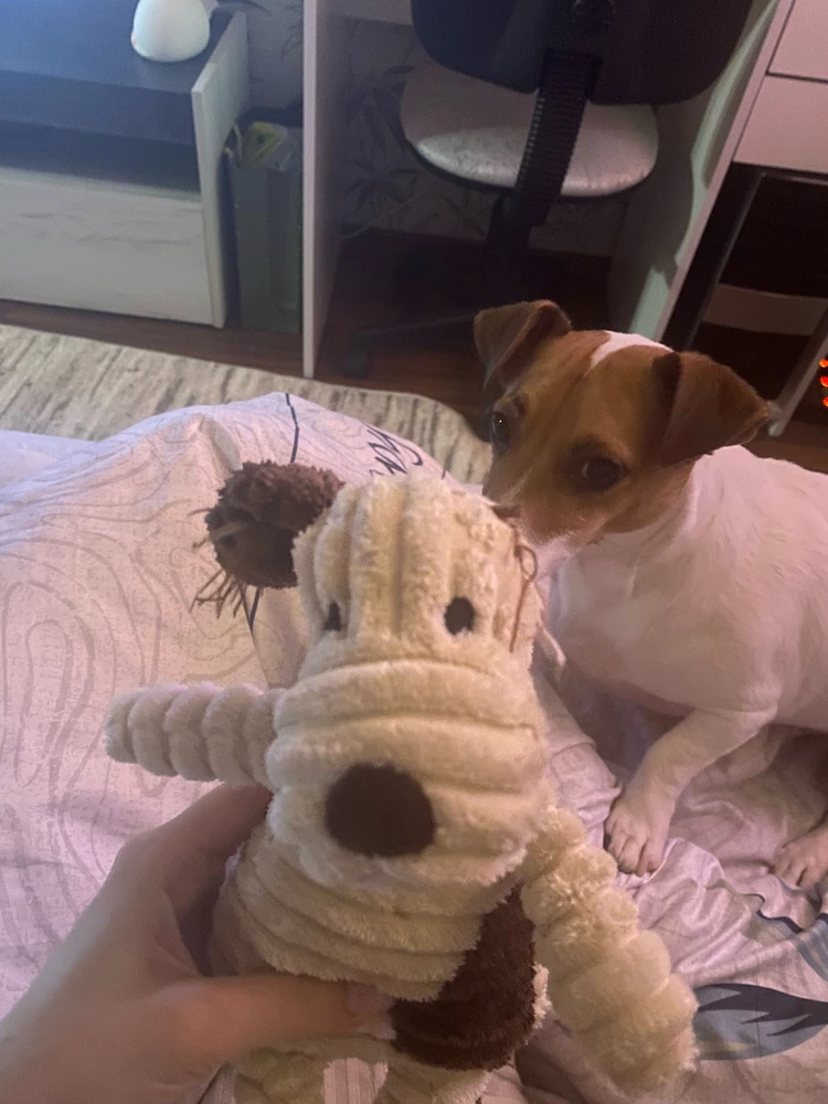 Игрушка красивая
Через час игры ушкам понадобилась срочная операция 
В целом, кроме ушей, игрушка не пострадала) Второй день играет