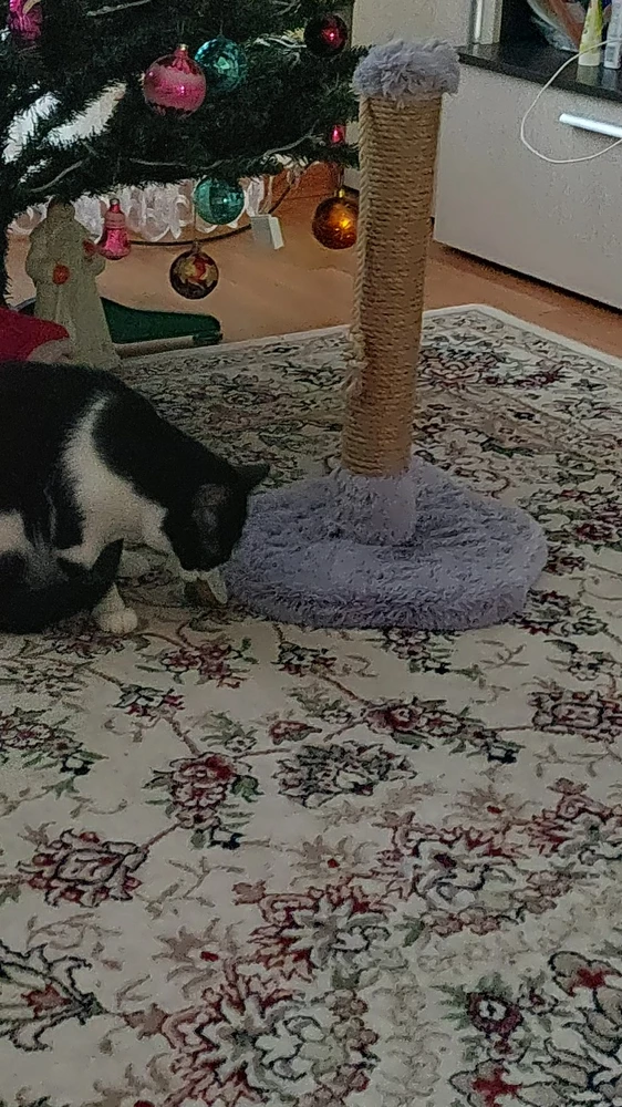 Спасибо большое за такую игрушку для кошки. Ей это лакомство очень понравилось.