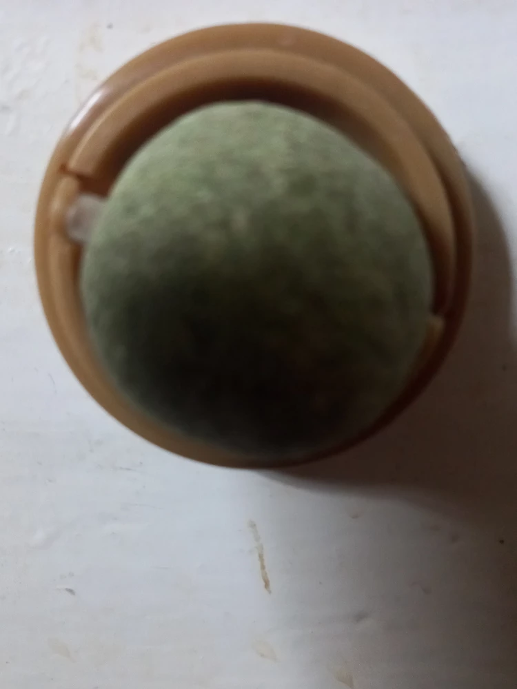 Полная ерунда деньги на ветер кот никак не отреагировал