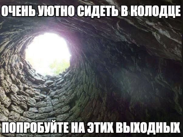 Девочки, это просто находка. Очень боялась, что не будут соответствовать ожиданиям, но всё зря. На рост 156 и параметры 59(т) и 89(б) село хорошо, но чутка длинноваты. К материалу никаких претензий нет, так что советую.