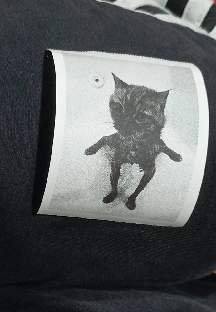 Ожидания оправдывдал